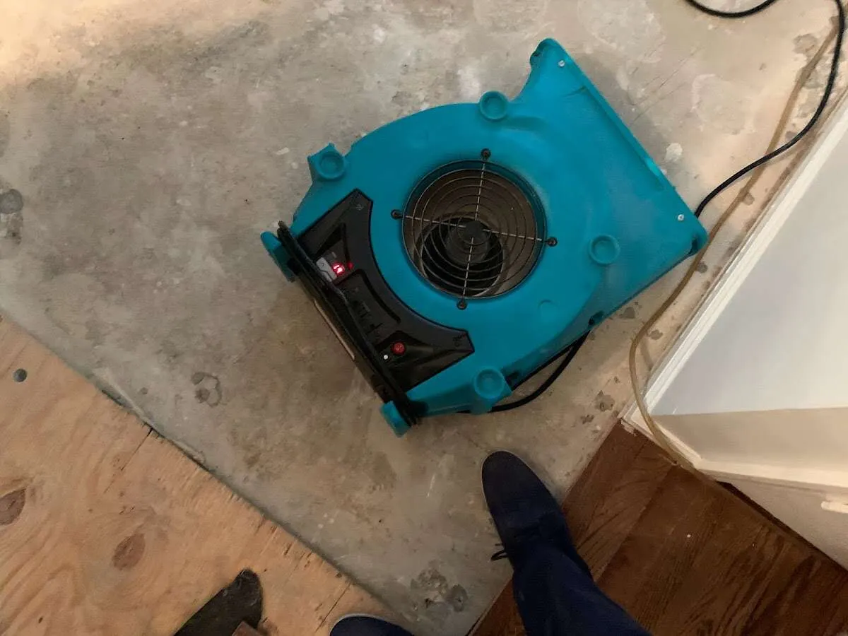 Air mover drying subfloor during Leak Detection & Repair in Saugerties